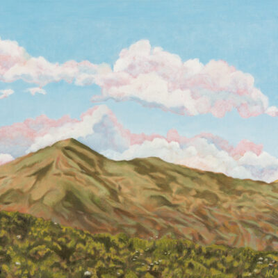 18" x 24" x 5/8" original oil painting

Oil paint on canvas on wood stretcher bars

A blue sky filled with white clouds over a morning sunlit Mt Tamalpais landscape.

No need to frame

Image continued or painted on sides

Certificate of Authenticity included with purchase of original

All rights reserved by Nancy L. McLennon