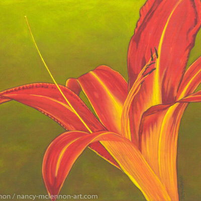 24" x 36" x 5/8" original oil painting

Oil paint on canvas on wood stretcher bars

A single, open Ruby spider daylily on a field

No need to frame

Image continued or painted on sides

Certificate of Authenticity included with purchase of original

All rights reserved by Nancy L. McLennon

409