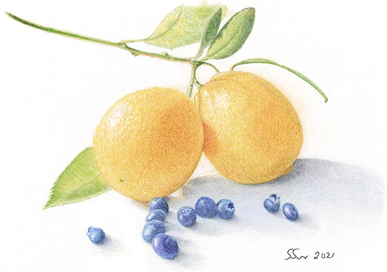 Meyer lemons and blueberries