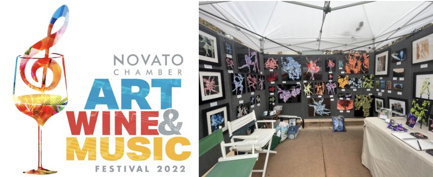Novato Festival of Art, Wine & Music 2023