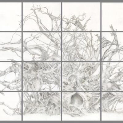 Silverpoint on 16 Handmade Panels - Melissa Parhm | Artist Statement
Upturned Roots, Silverpoint on Prepared Panels, 2018-2019
Upturned Roots is inspired by a tree in Glen Ellen - Kenwood I’ve been drawn to - especially the roots. After the 2017 fires, I searched and found it still intact. I saw the world in the tree, the concept of pareidolia.
I begin by preparing the panels in order to create a foundation for the silver. Building up many layers of luminous ground enables the interplay of light with the silver, creating a three-dimensional effect. The sun’s rays shifting on the panel’s surface results in an image that is ever-changing. New forms emerge and dissolve, like the forms I see in this tree’s roots.
Drawing with silver is sustainable and connects me to the lineage of artists I’m influenced by who worked in silverpoint in the ages before graphite was discovered and mined. Today as I am writing this, the fires are again raging in Napa. Again, I go into my studio, the elements, in order to honor them. They are all we have; they are the matter we are made of.
Upturned Roots was selected by the de Young Museum of Art for the 2020-2021 exhibition, On the Edge #565 deyoungopenexhibit@famsf.org
