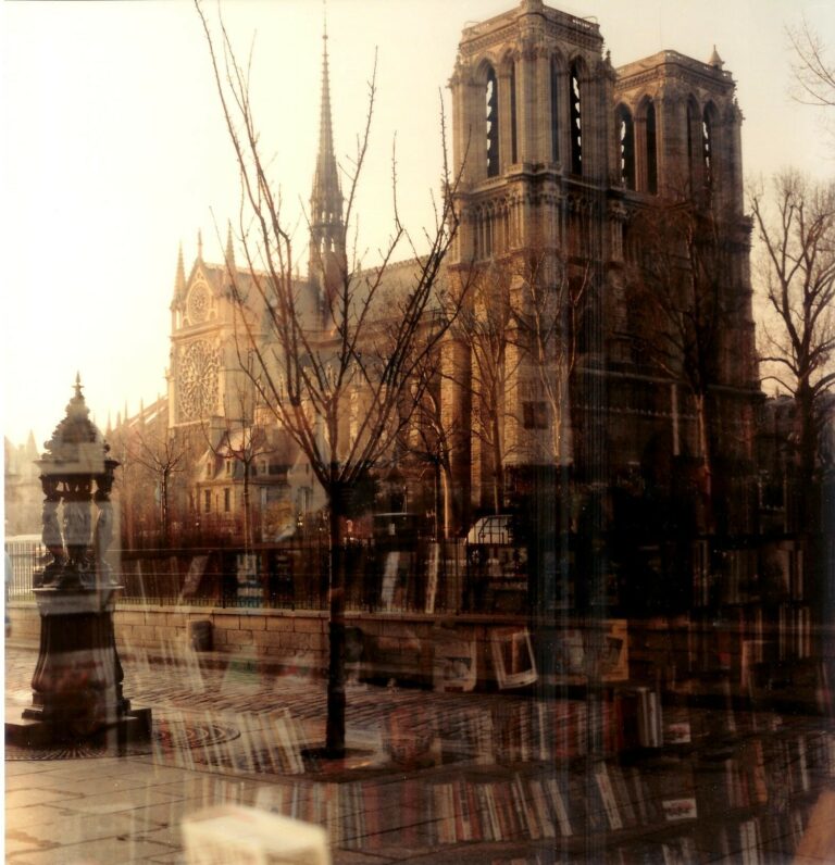 “Notre Dame and Books”