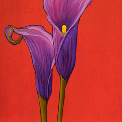 Purple callas on red - For an in person preview, you can see this painting, by appointment, at my studio 817 D Street, San Rafael 94901  This Calla bulb (AKA Arum lilies) has been thriving in our garden for years. It was given to us by my sister-in-law and seems to love our climate. I look forward to its blooms every year!  I chose to play with a more graphic style with this piece, because the long slender stems, with it's veins, seemed perfect for that kind of brushstroke.  This 16" x 20" x 5/8" original painting is available for purchase.  No need to frame  Sides painted to continue the image from front  Certificate of Authenticity included with purchase of original  All rights reserved by Nancy L. McLennon  At the Open Studio, there will be pillows, that have this image printed upon it, available for purchase. It's the perfect "pop of color" for a chair or sofa in your office or home.  408
