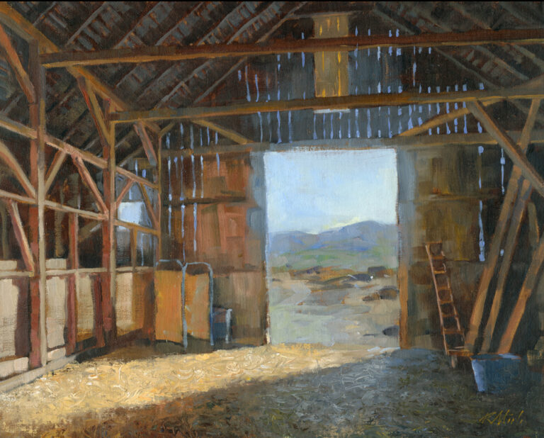 Old barn, Sonoma Conty, CA¨