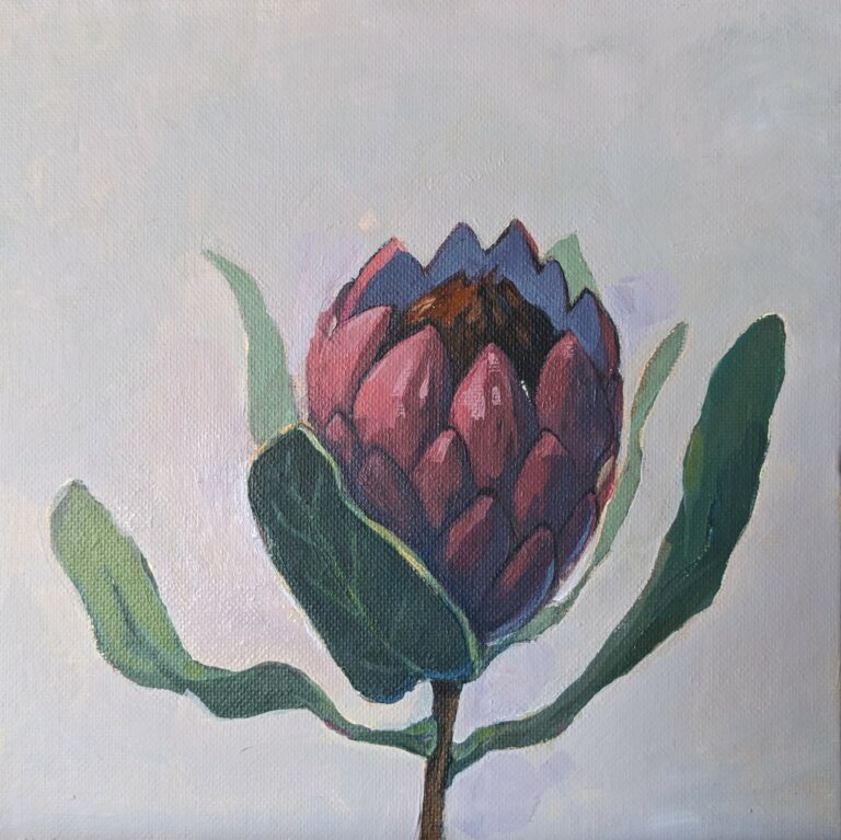 Protea