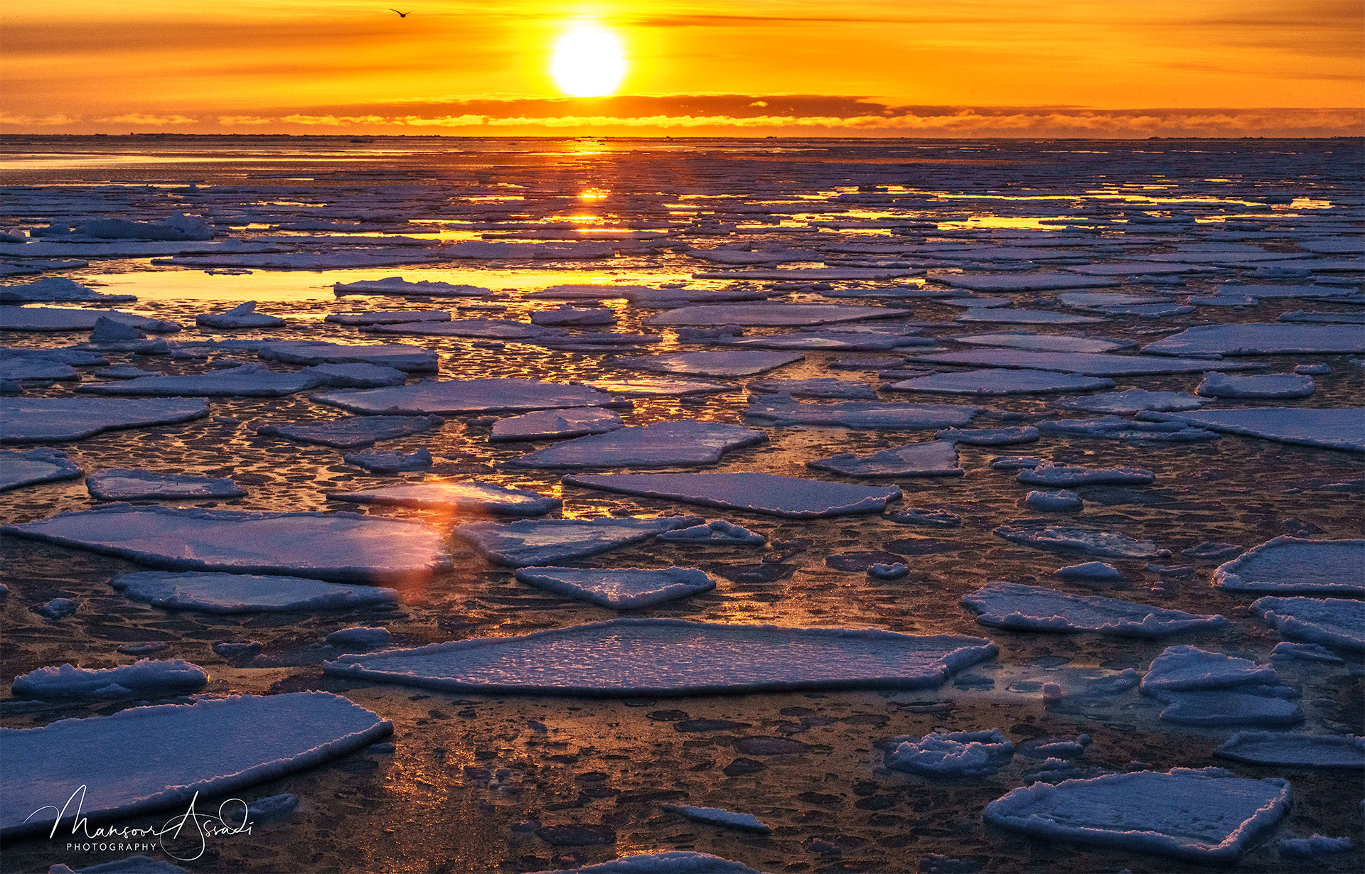 Spring Sunset in the Arctic