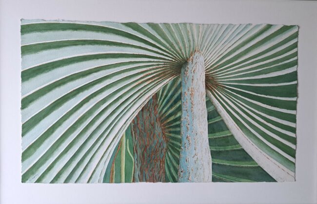 Watercolor  26.5 x 38.5  - framed