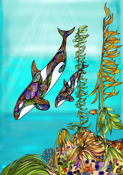 J63 her her Mom Diving into the Kelp Forest