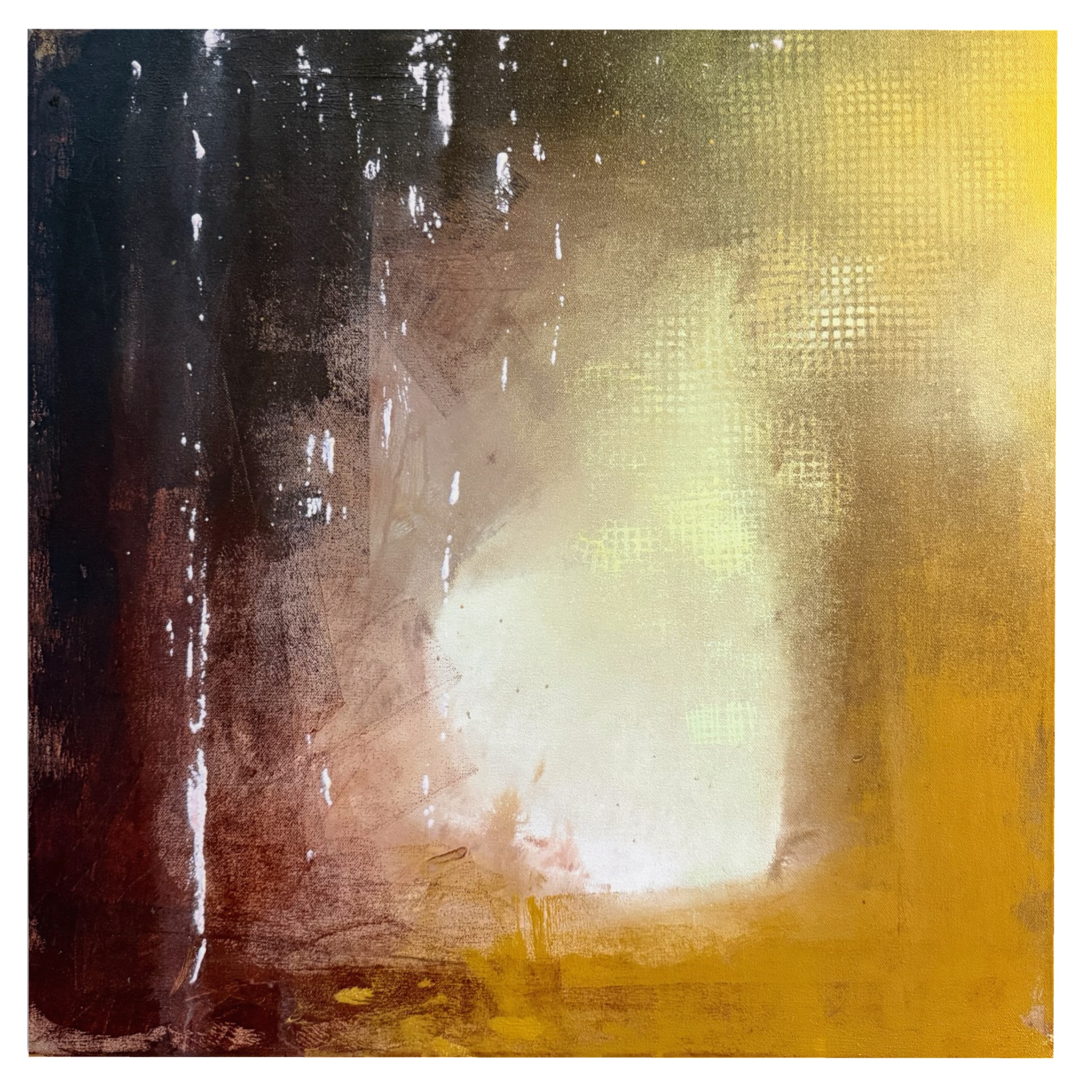 The Singularity of Will