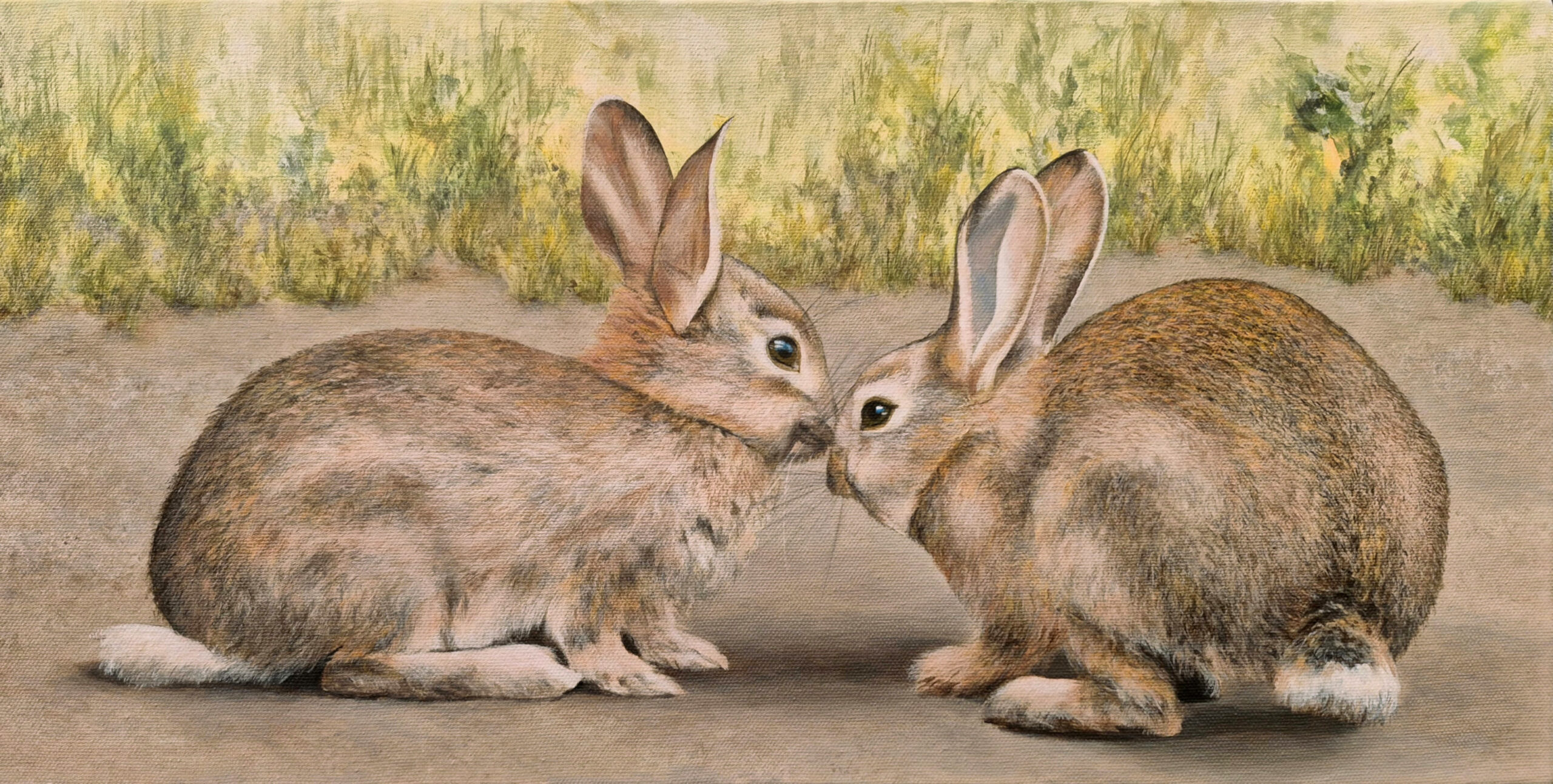 Bunny Pair