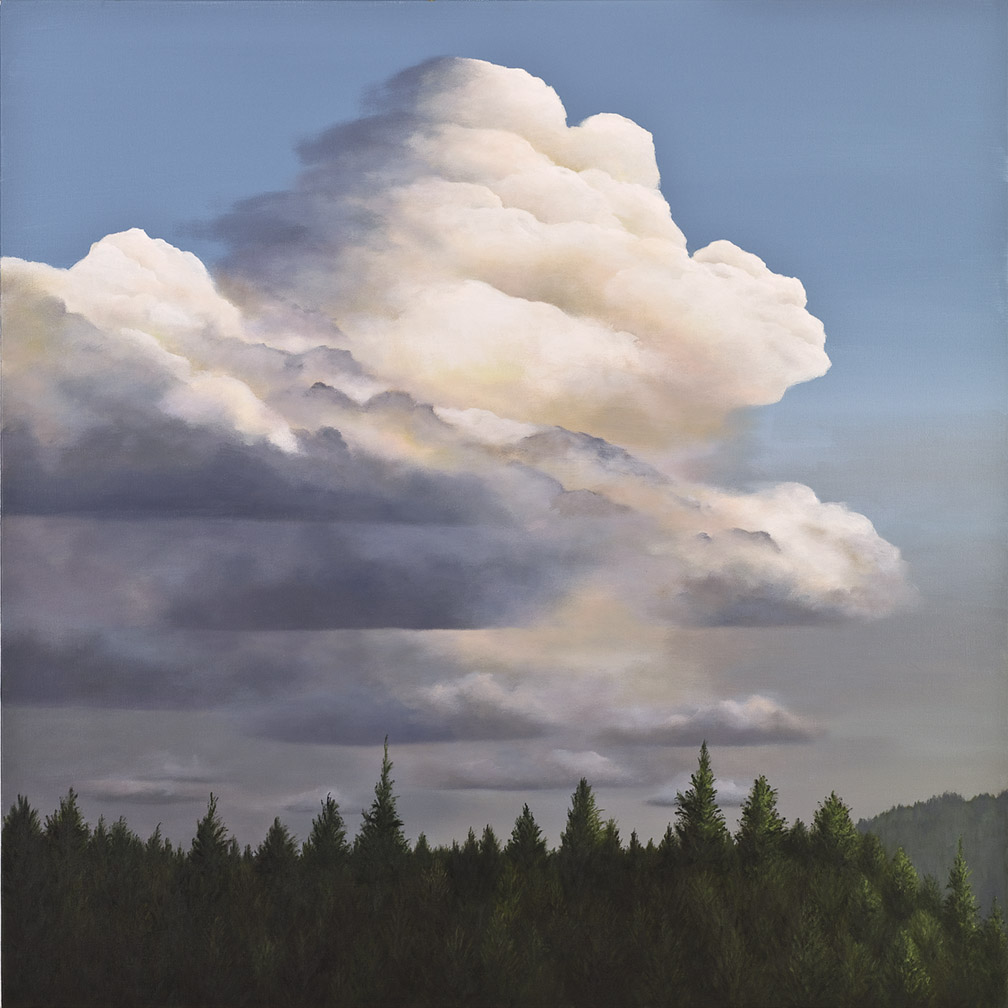 Forest Thunderhead #3