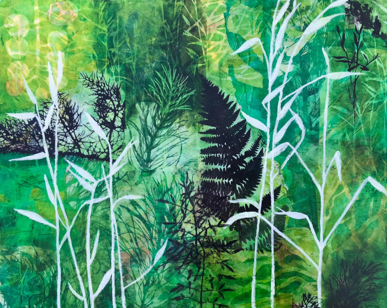 Green Is My Favorite Color