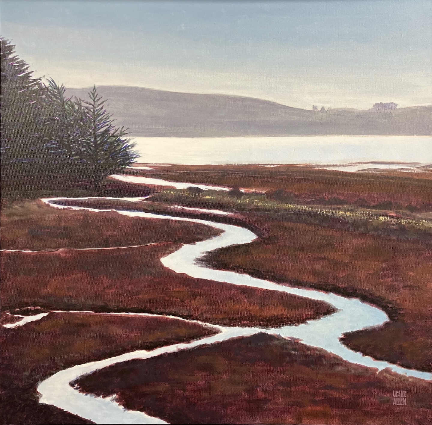 Late Afternoon, Tomales Bay (Red Salt Marsh)